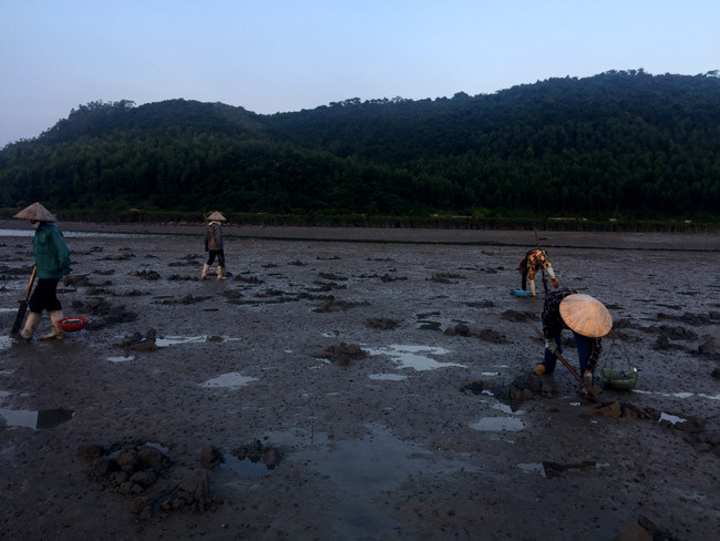 Cuộc sống của những phụ nữ săn 'sâm đất' ảnh 9