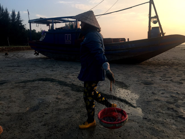 Cuộc sống của những phụ nữ săn 'sâm đất' ảnh 10