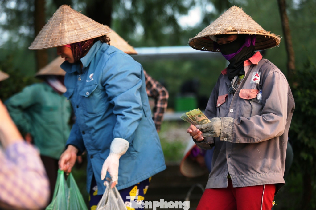 Cuộc sống của những phụ nữ săn 'sâm đất' ảnh 8