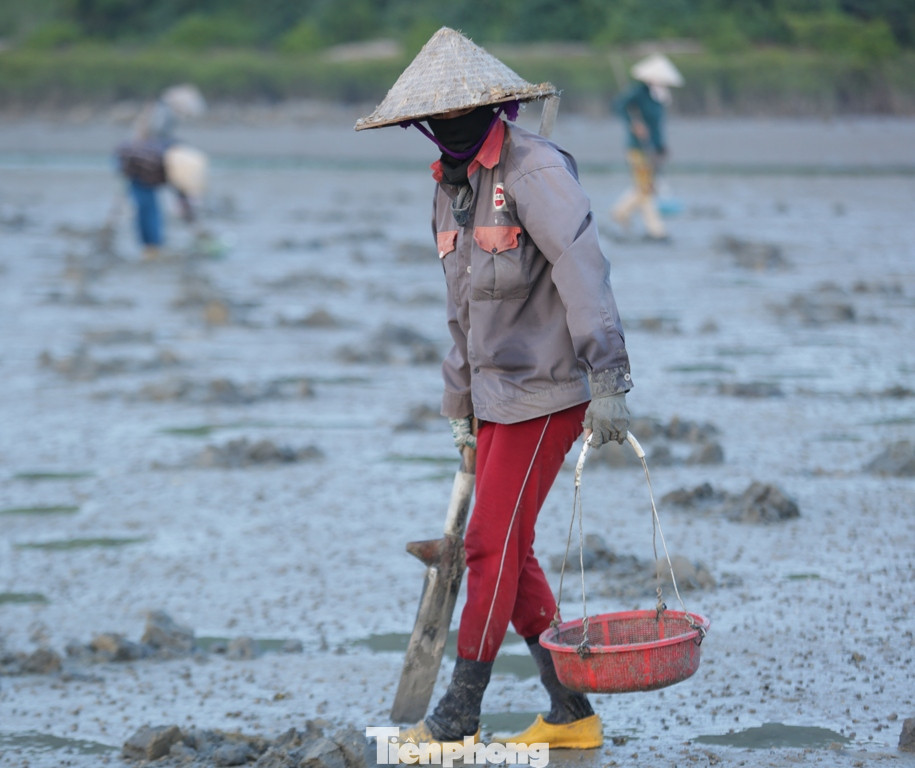 Cuộc sống của những phụ nữ săn 'sâm đất' ảnh 2