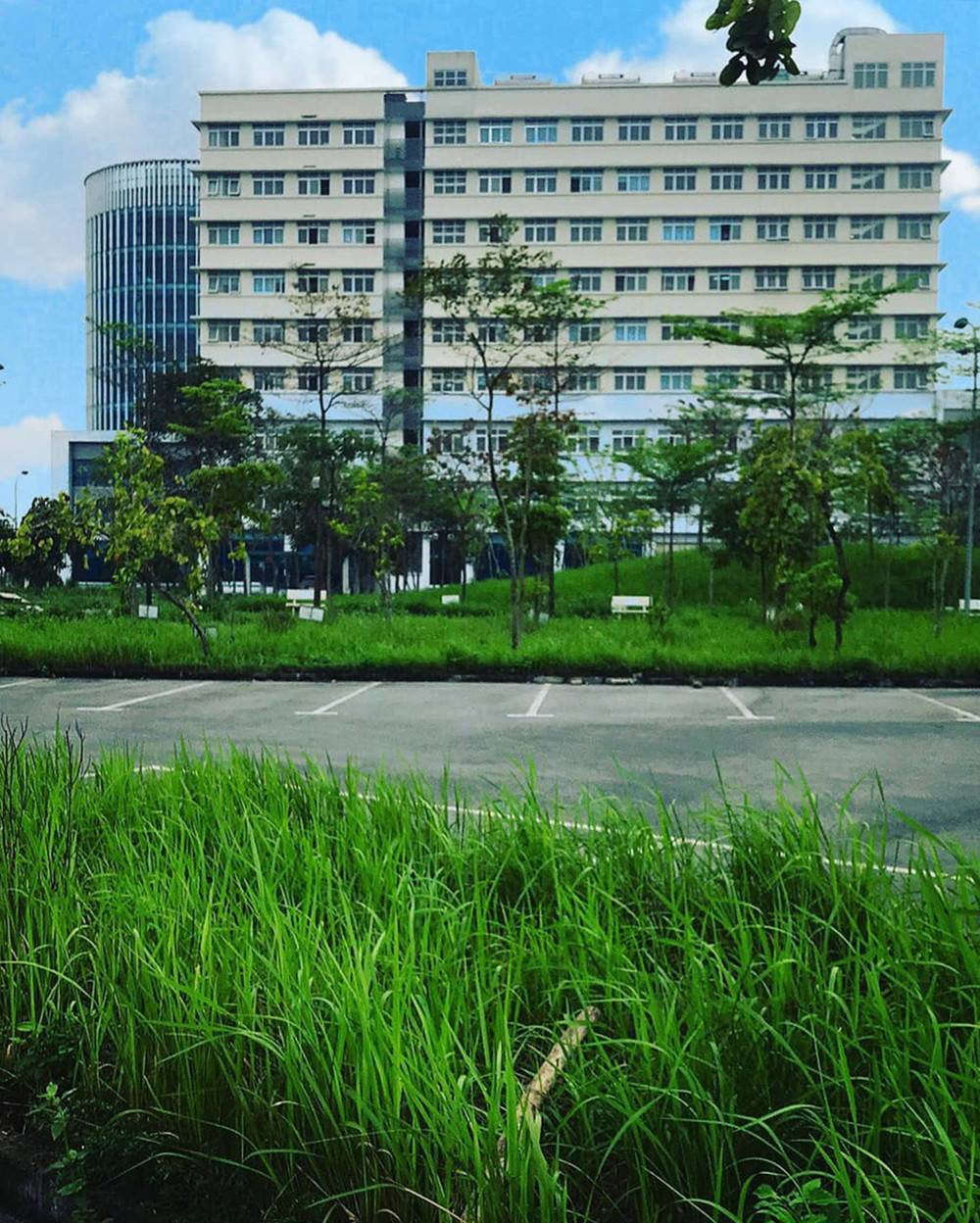 Phút thư giãn hiếm hoi của y, bác sĩ nơi tuyến đầu chống dịch COVID-19 ảnh 13