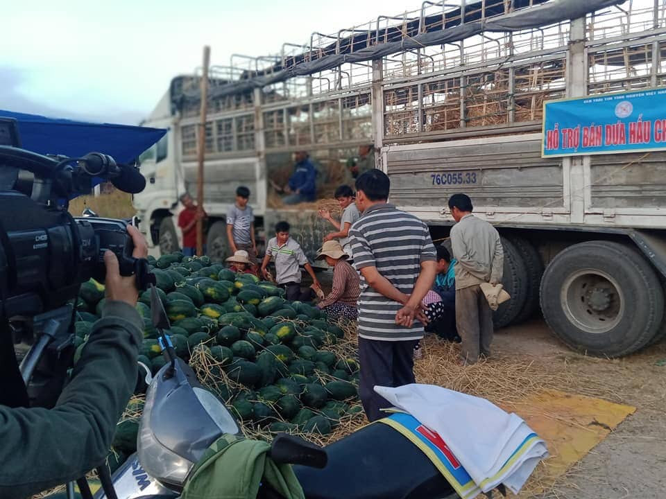 Tuổi trẻ Bình Định tham gia 'giải cứu' dưa hấu trong mùa dịch ảnh 2