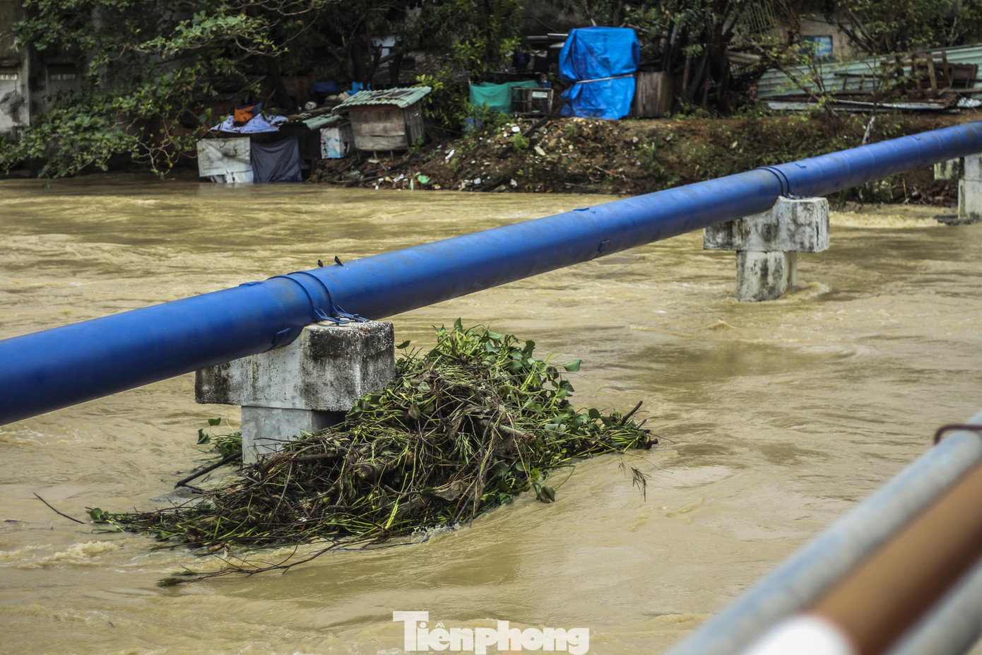 Lũ dâng nhanh, đường phố Quy Nhơn thành sông, hơn 500 hộ dân bị ngập ảnh 1