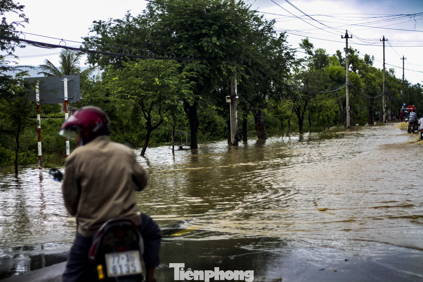 Lũ dâng nhanh, đường phố Quy Nhơn thành sông, hơn 500 hộ dân bị ngập ảnh 3