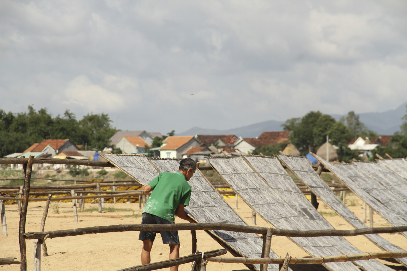 Làng bún - bánh An Thái hối hả vụ Tết ảnh 9
