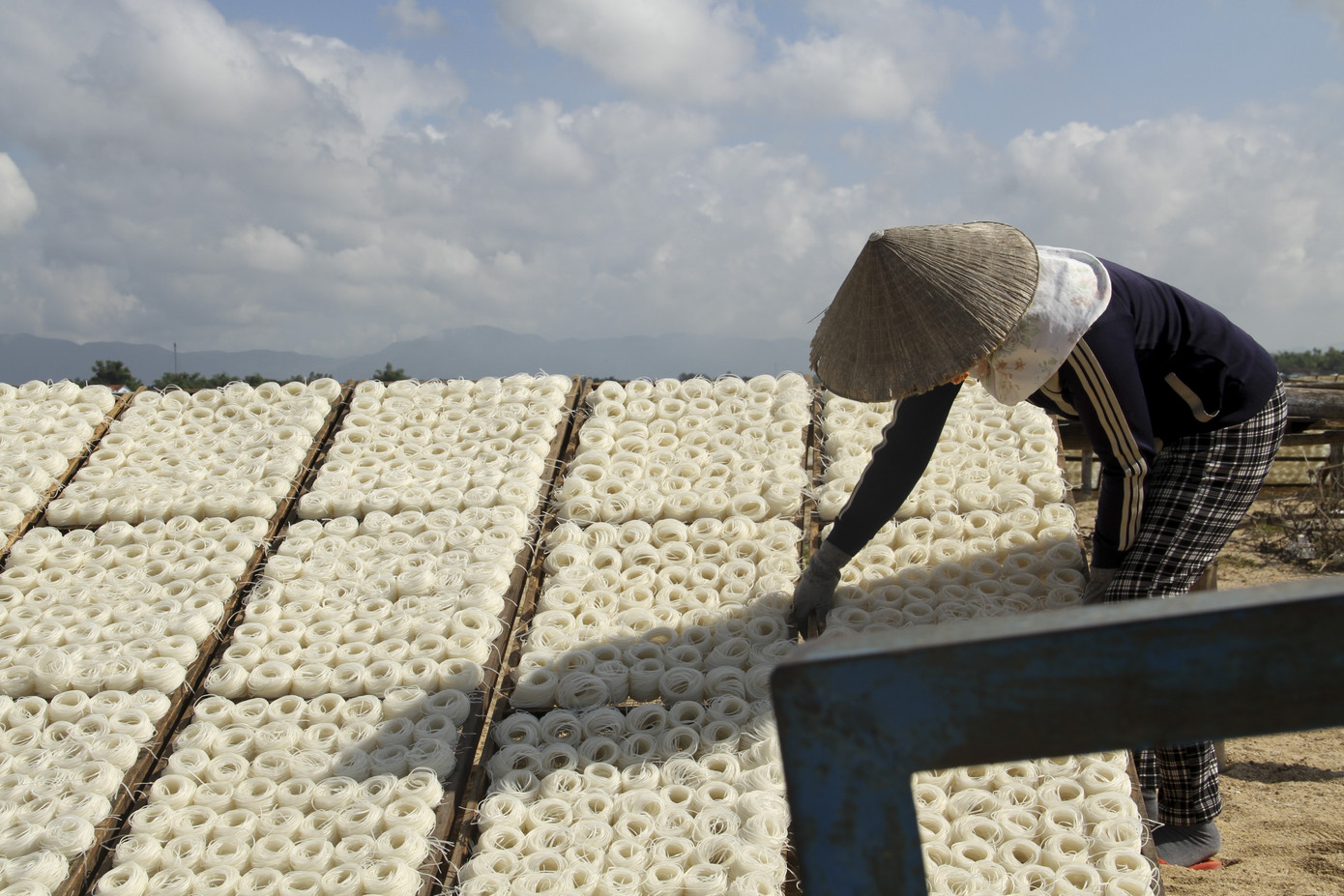 Làng bún - bánh An Thái hối hả vụ Tết ảnh 10