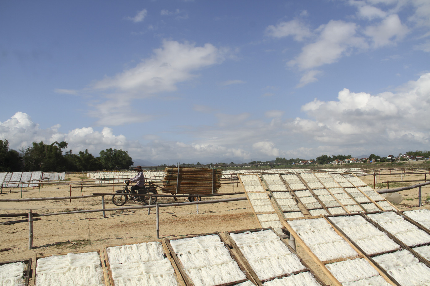 Làng bún - bánh An Thái hối hả vụ Tết ảnh 1