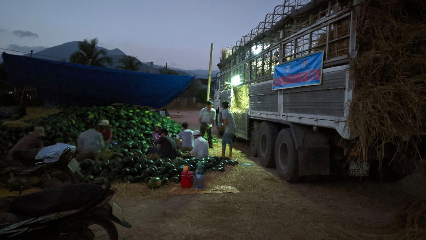Tuổi trẻ Bình Định tham gia 'giải cứu' dưa hấu trong mùa dịch ảnh 3