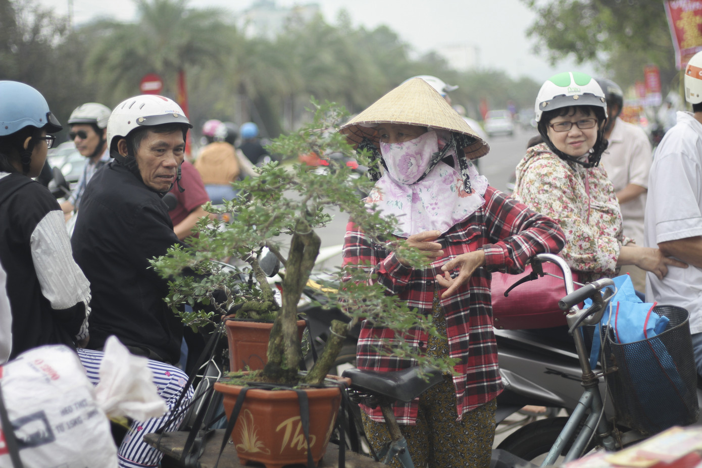 Người dân Bình Định nô nức đi chợ hoa Tết ảnh 4