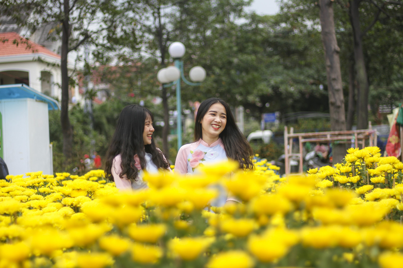 Người dân Bình Định nô nức đi chợ hoa Tết ảnh 8