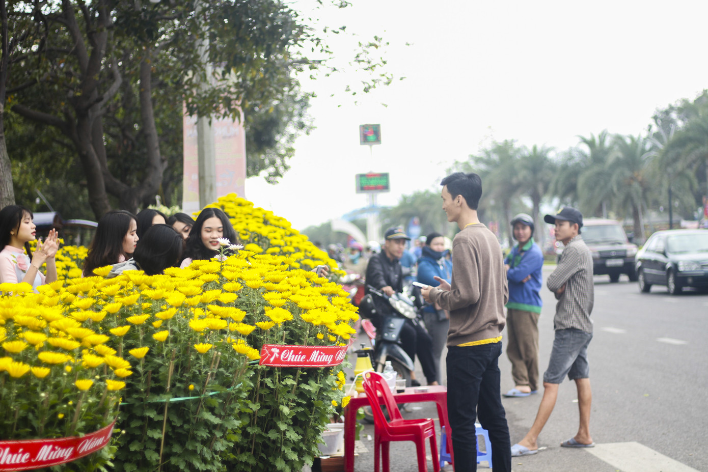 Người dân Bình Định nô nức đi chợ hoa Tết ảnh 6