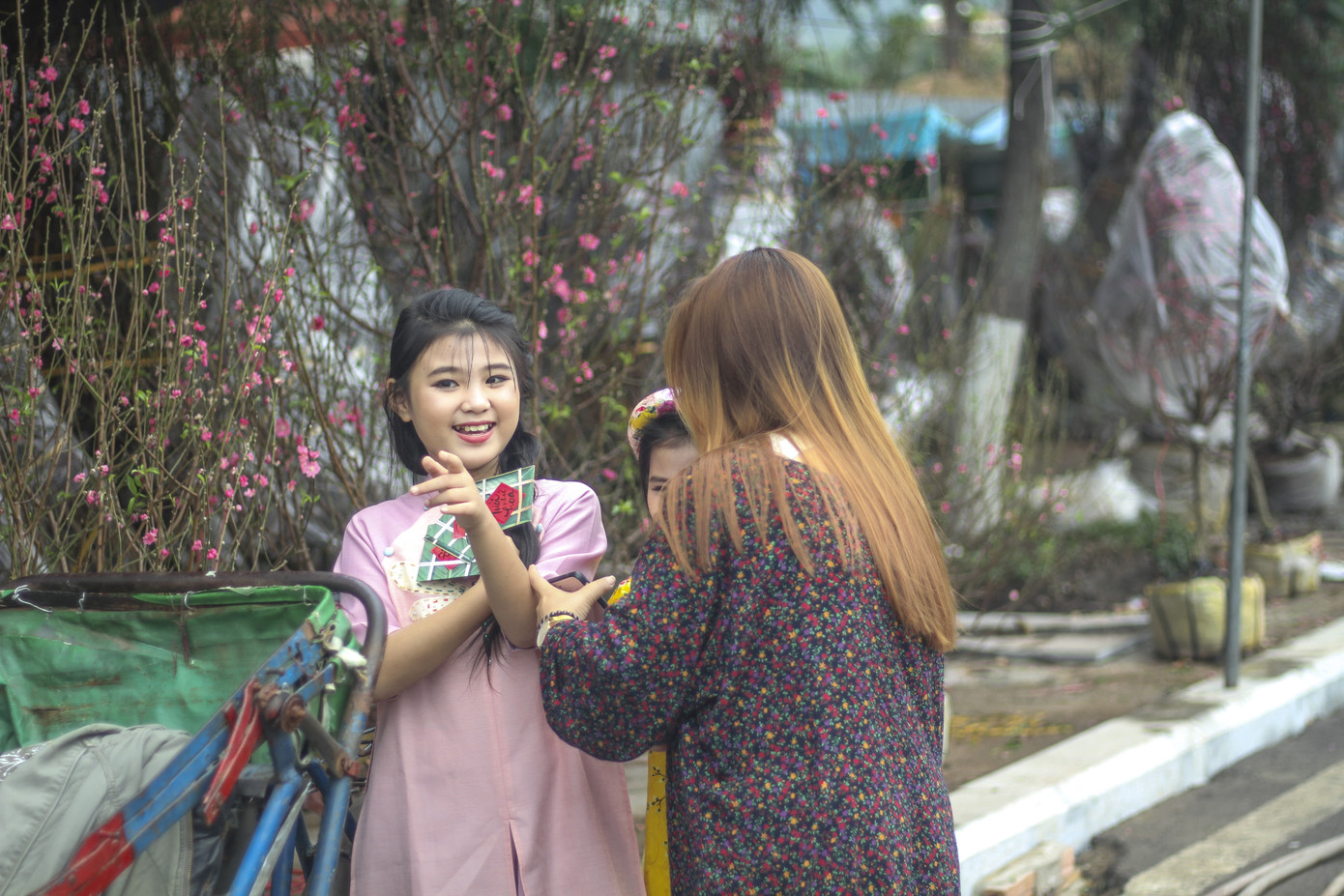 Người dân Bình Định nô nức đi chợ hoa Tết ảnh 9