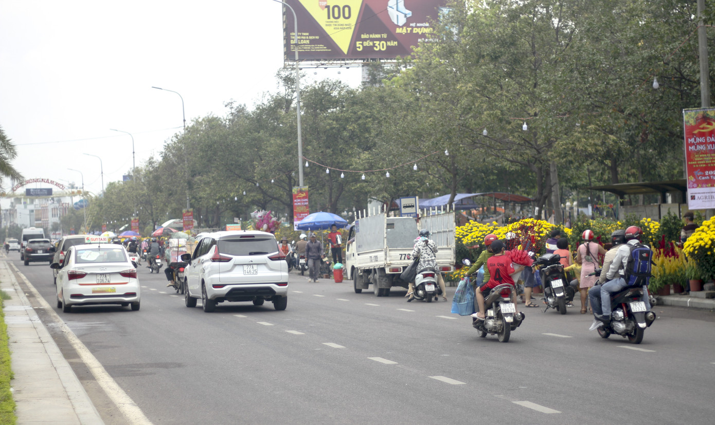 Người dân Bình Định nô nức đi chợ hoa Tết ảnh 2