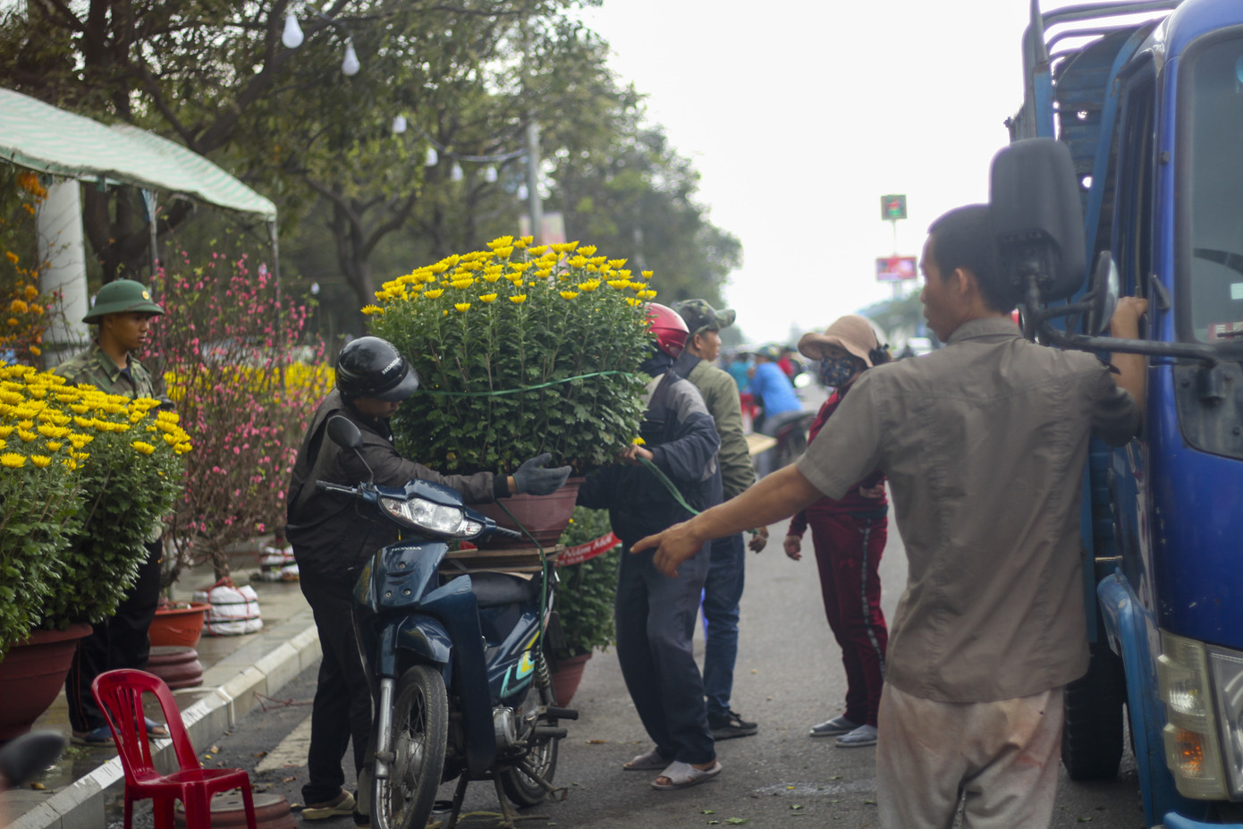 Người dân Bình Định nô nức đi chợ hoa Tết ảnh 3