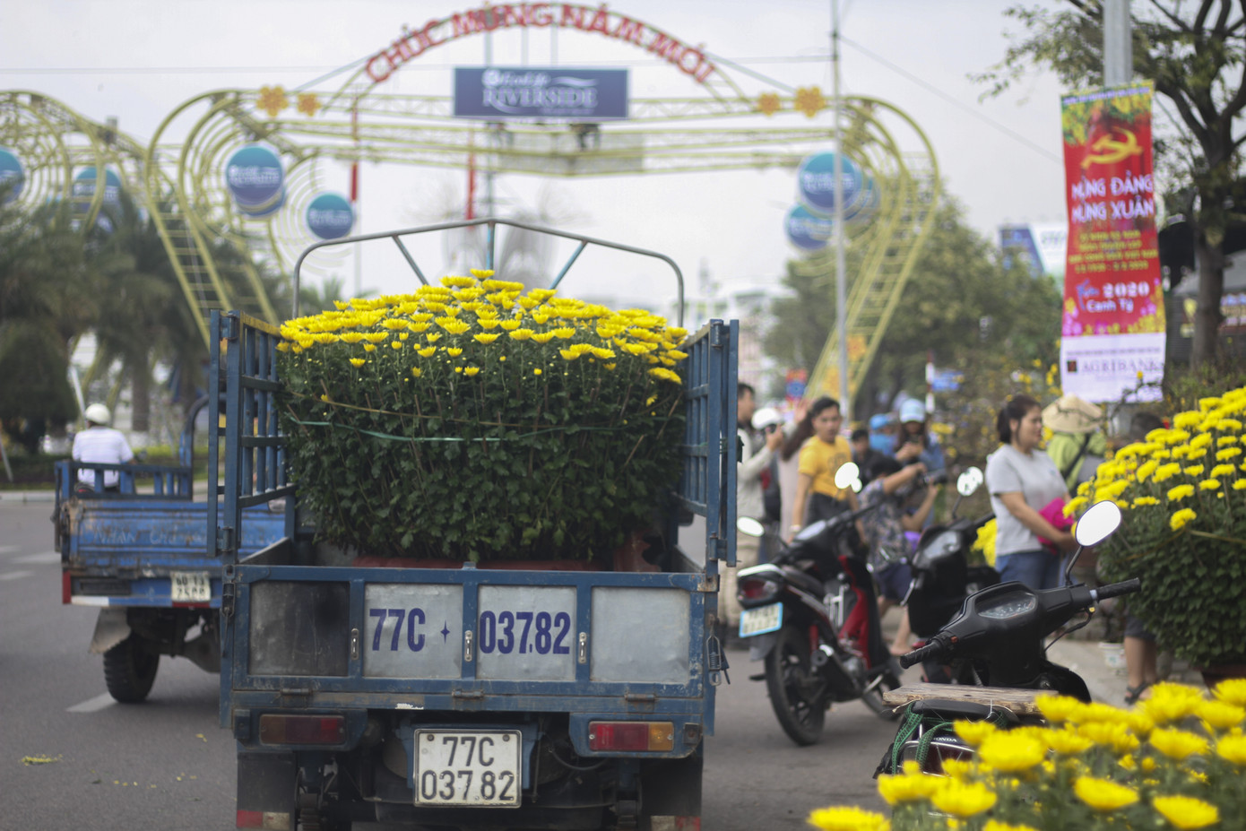 Người dân Bình Định nô nức đi chợ hoa Tết ảnh 5