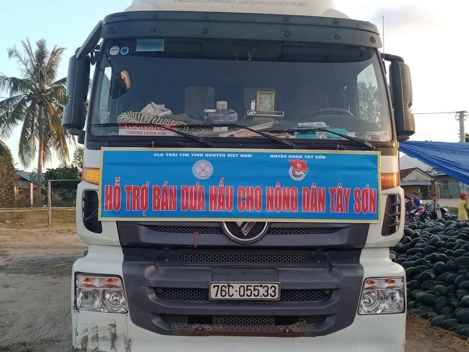 Tuổi trẻ Bình Định tham gia 'giải cứu' dưa hấu trong mùa dịch ảnh 8
