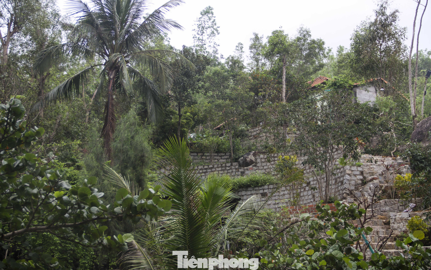 Nguyên Chủ tịch Uỷ ban MTTQ tỉnh Bình Định xây nhà không phép trên núi ảnh 7