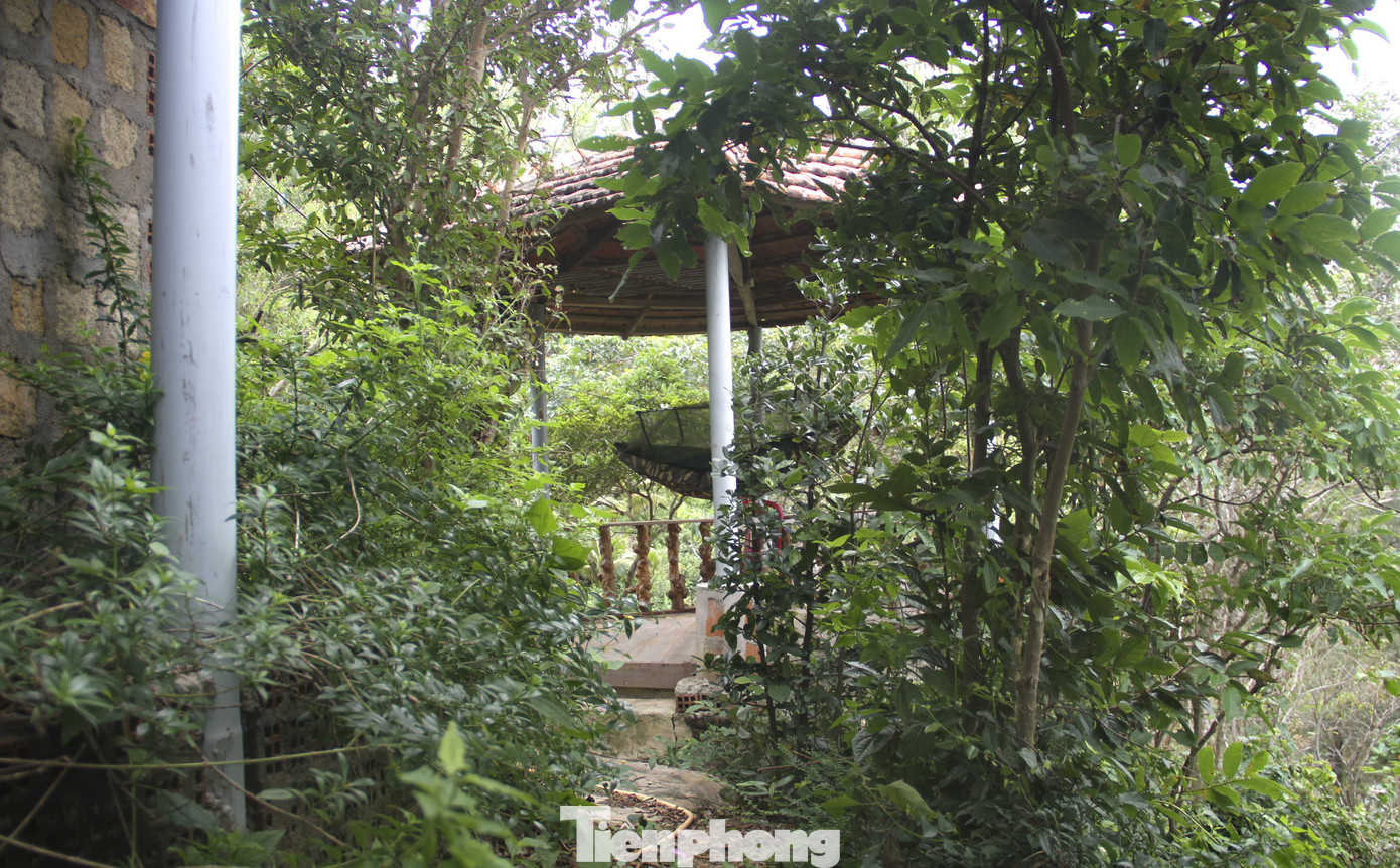 Nguyên Chủ tịch Uỷ ban MTTQ tỉnh Bình Định xây nhà không phép trên núi ảnh 3