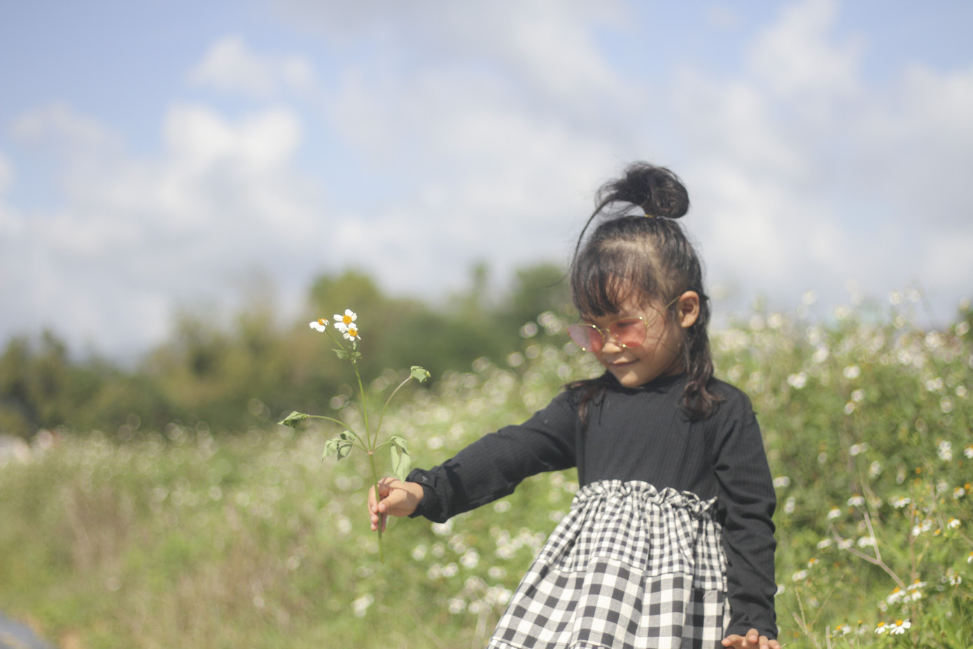 Cánh đồng hoa hướng dương khoe sắc ngày xuân ảnh 8