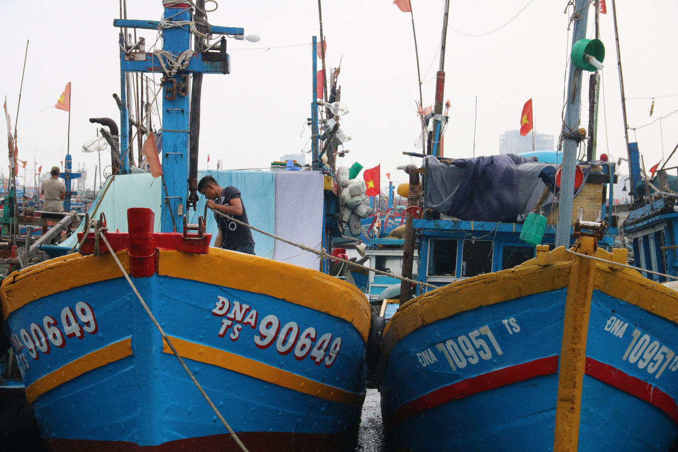 Bình Định chuẩn bị di dời dân, Đà Nẵng cấm tàu thuyền ra khơi trước bão số 6 ảnh 3