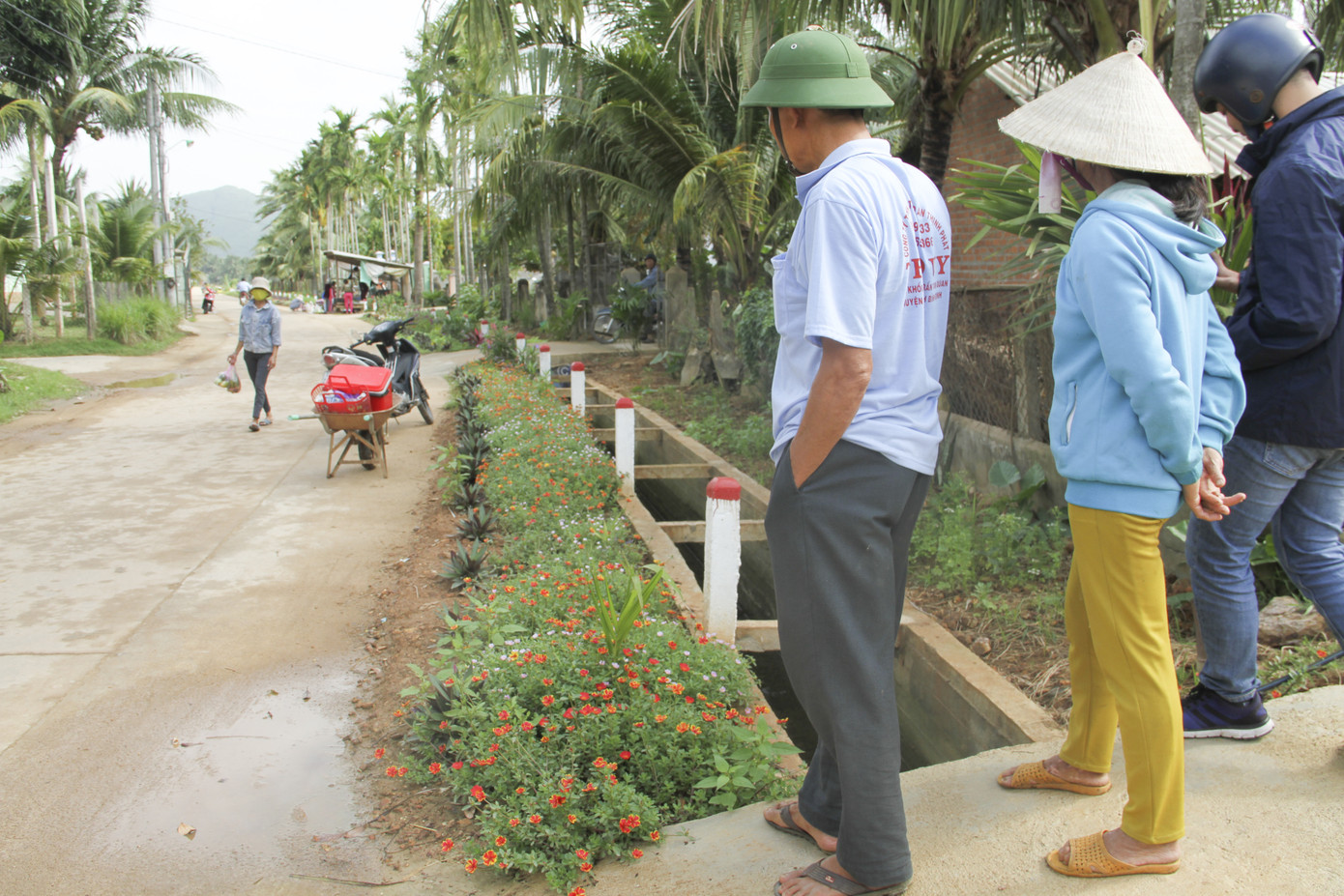 Thảm hoa trên những con đường quê ảnh 5