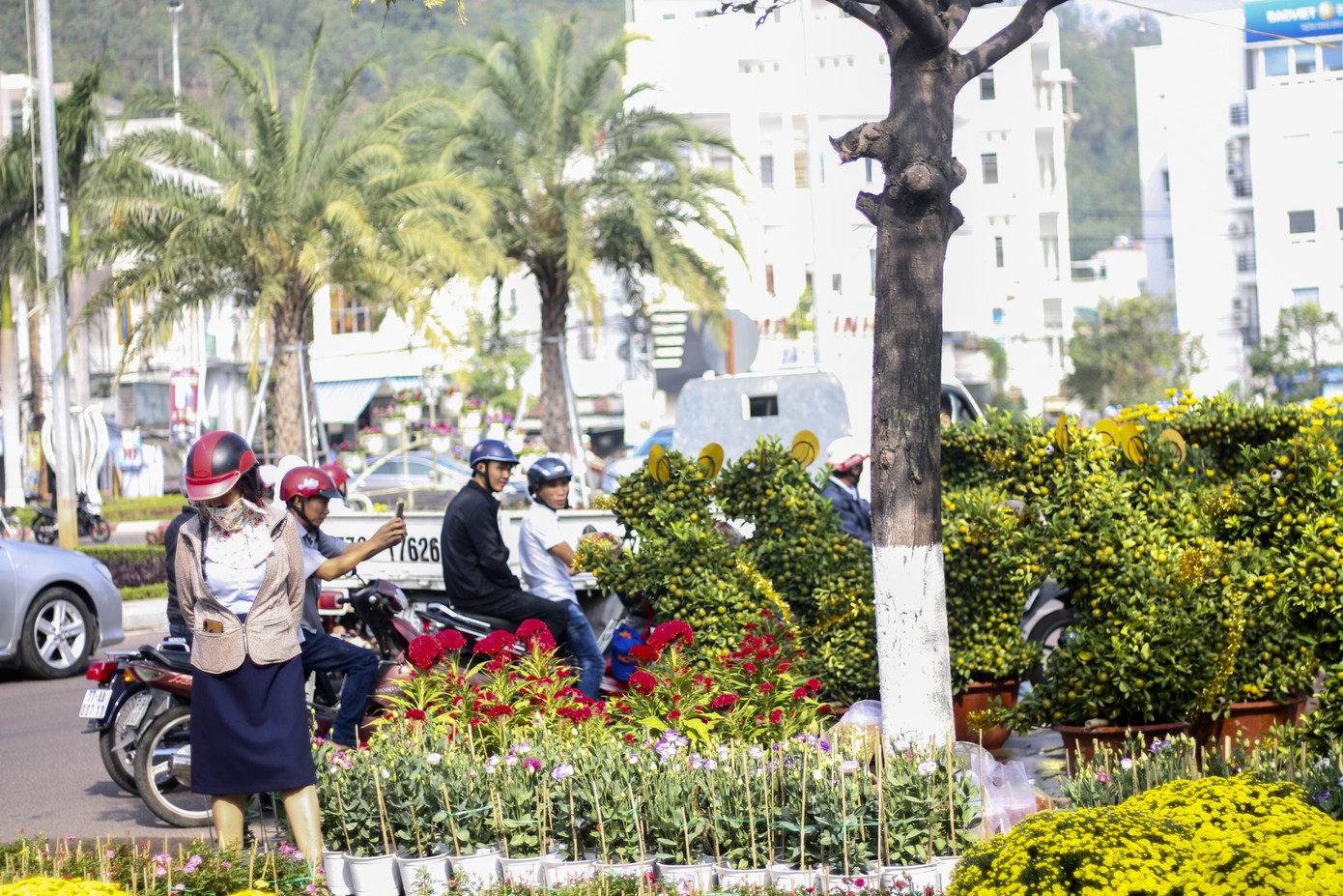 Quất bonsai tạo hình chuột khuấy động chợ hoa Tết ảnh 4
