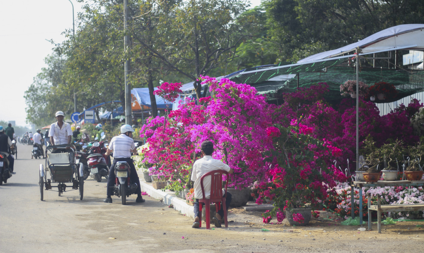 Quất bonsai tạo hình chuột khuấy động chợ hoa Tết ảnh 8