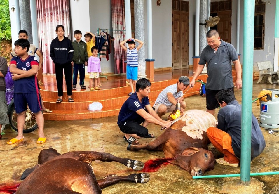 Bình Định: Lũ về bất ngờ nhiều xã chìm trong biển nước ảnh 4