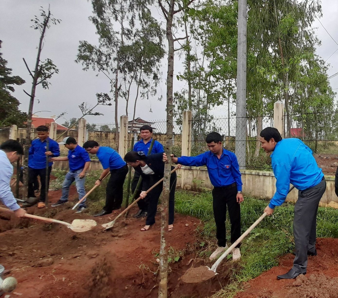 Tuổi trẻ Bình Định làm nhiều phần việc ý nghĩa chào mừng 90 năm ngày thành lập Đoàn ảnh 5