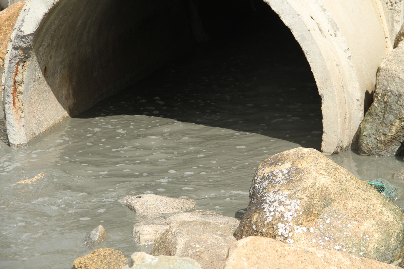 Phát hiện nguồn nước đen ngòm xả thải ra biển Bình Định ảnh 2