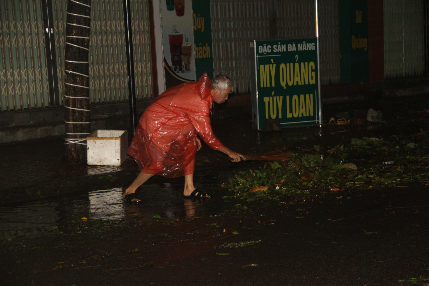 Sau bão số 5, cây cối đổ ngổn ngang, bãi biển Quy Nhơn ngập ngụa rác ảnh 1
