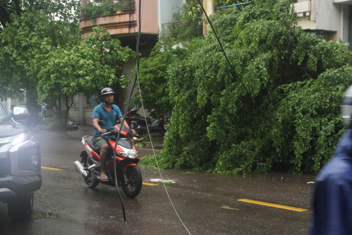 Sau bão số 5, cây cối đổ ngổn ngang, bãi biển Quy Nhơn ngập ngụa rác ảnh 5