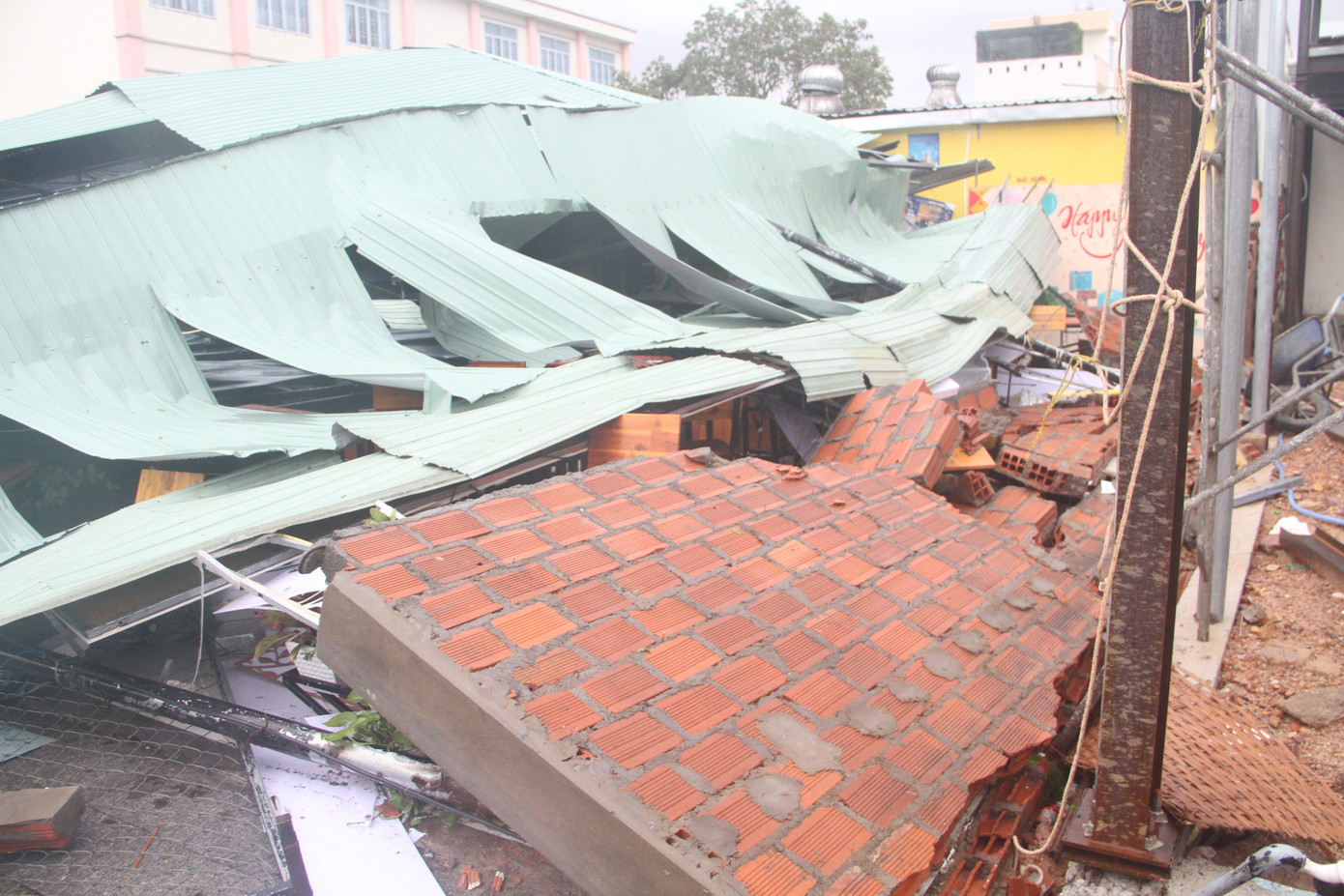 Sau bão số 5, cây cối đổ ngổn ngang, bãi biển Quy Nhơn ngập ngụa rác ảnh 7