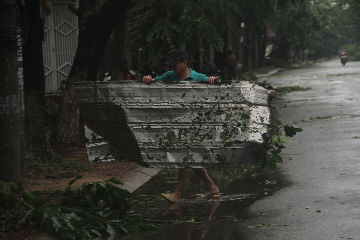 Sau bão số 5, cây cối đổ ngổn ngang, bãi biển Quy Nhơn ngập ngụa rác ảnh 2