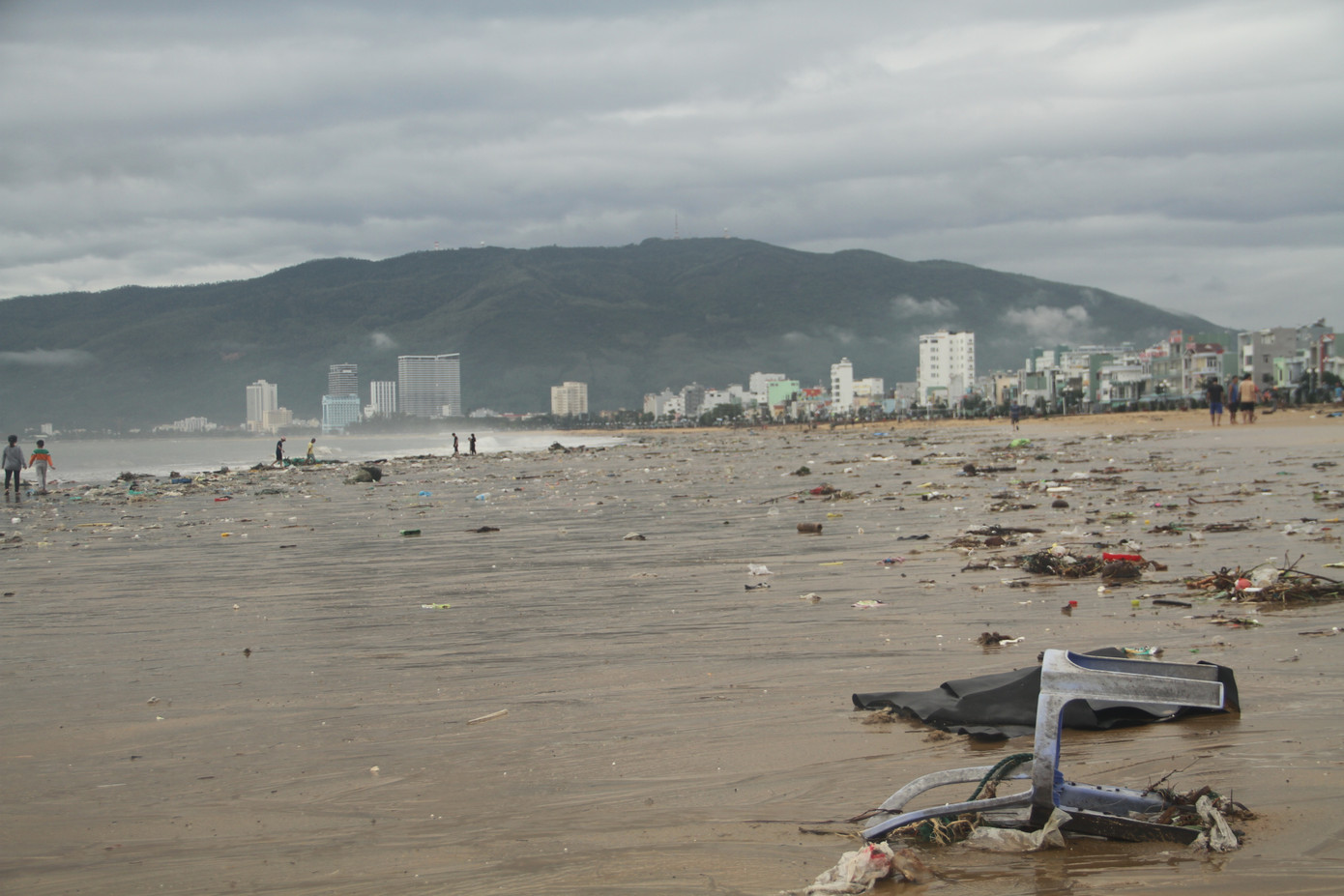 Sau bão số 5, cây cối đổ ngổn ngang, bãi biển Quy Nhơn ngập ngụa rác ảnh 11