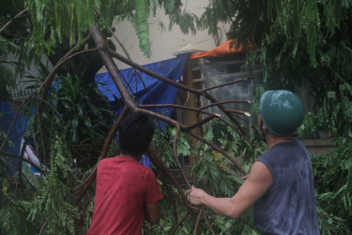 Sau bão số 5, cây cối đổ ngổn ngang, bãi biển Quy Nhơn ngập ngụa rác ảnh 6