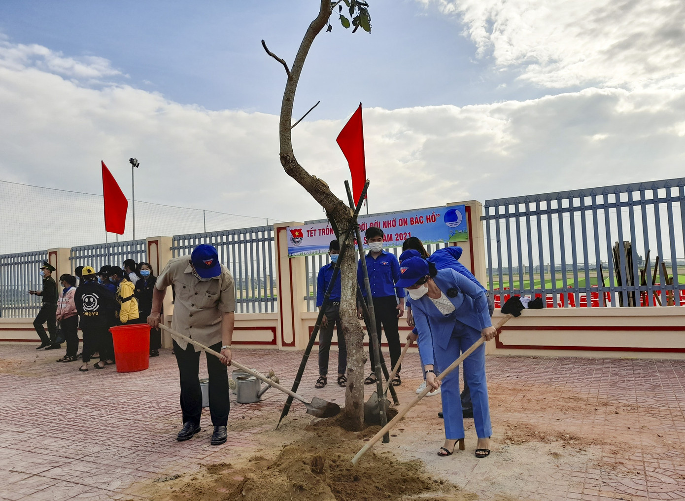 Bình Định ra quân Tết trồng cây ảnh 1