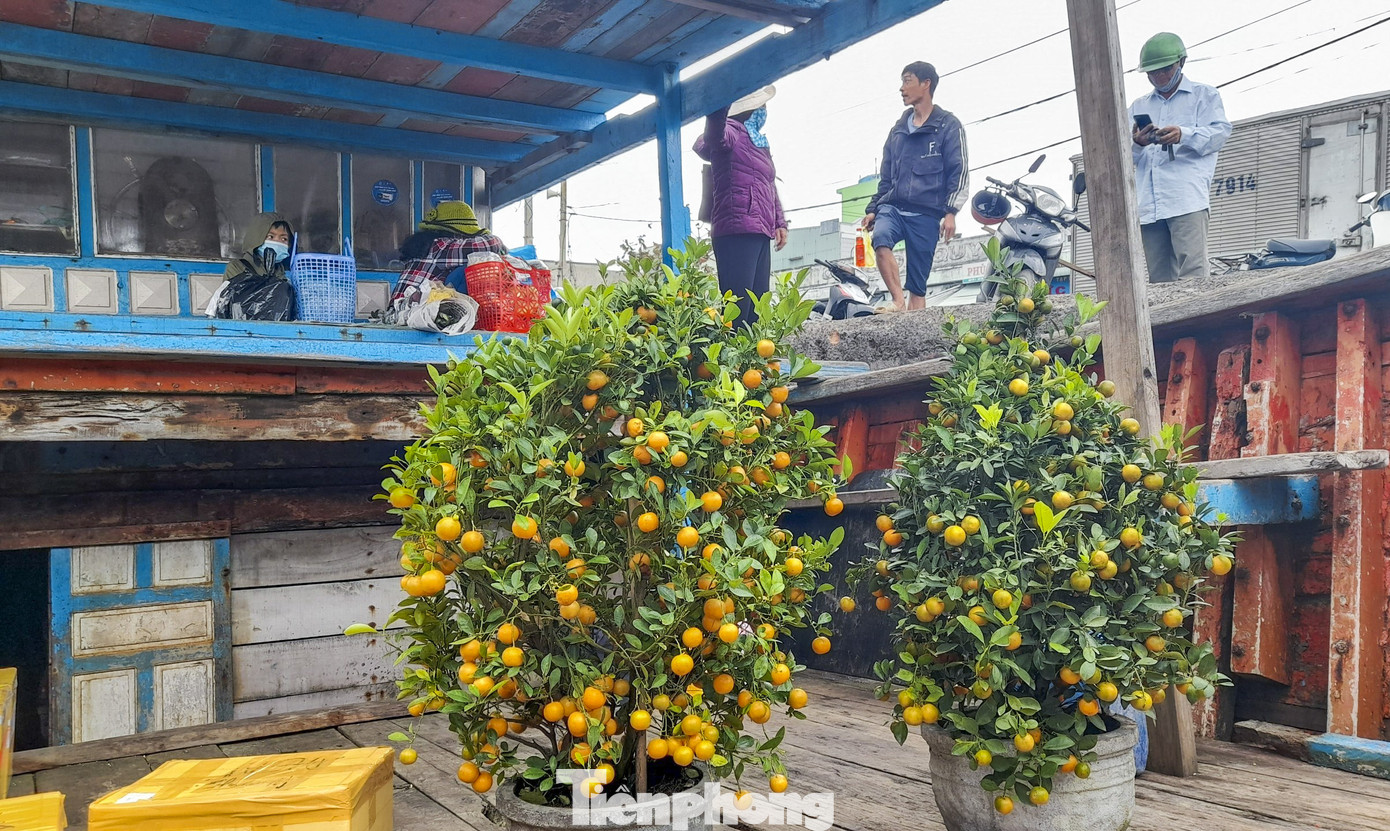 'Mang Tết' ra đảo Cù Lao Xanh ảnh 9