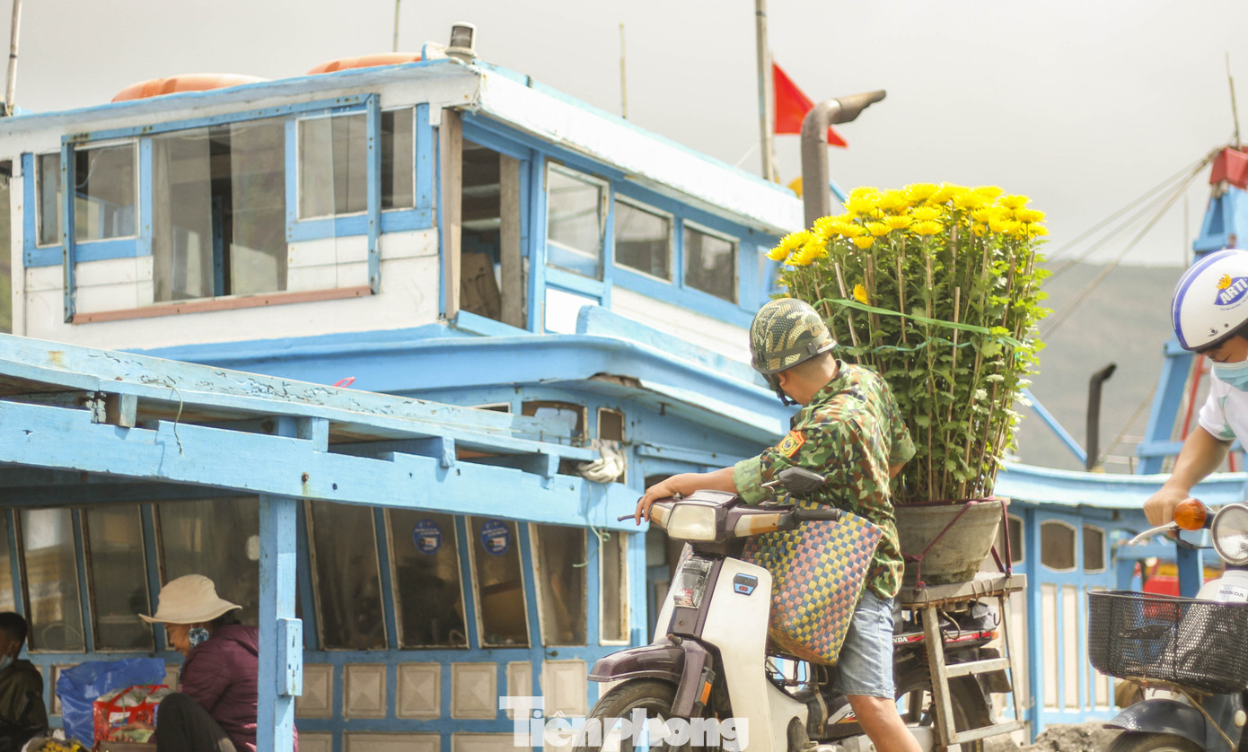 'Mang Tết' ra đảo Cù Lao Xanh ảnh 1