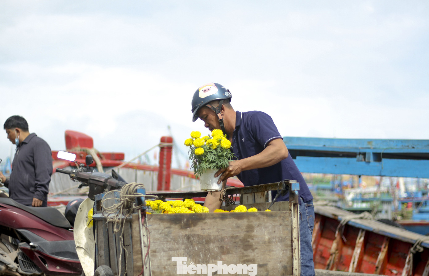 'Mang Tết' ra đảo Cù Lao Xanh ảnh 7
