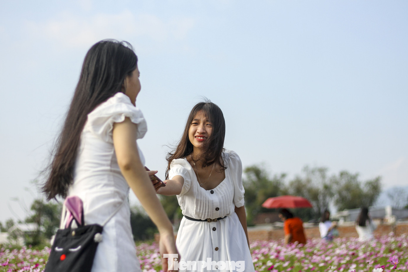 Bạn trẻ lạc giữa đồng hoa đang độ khoe sắc ngày xuân ảnh 7