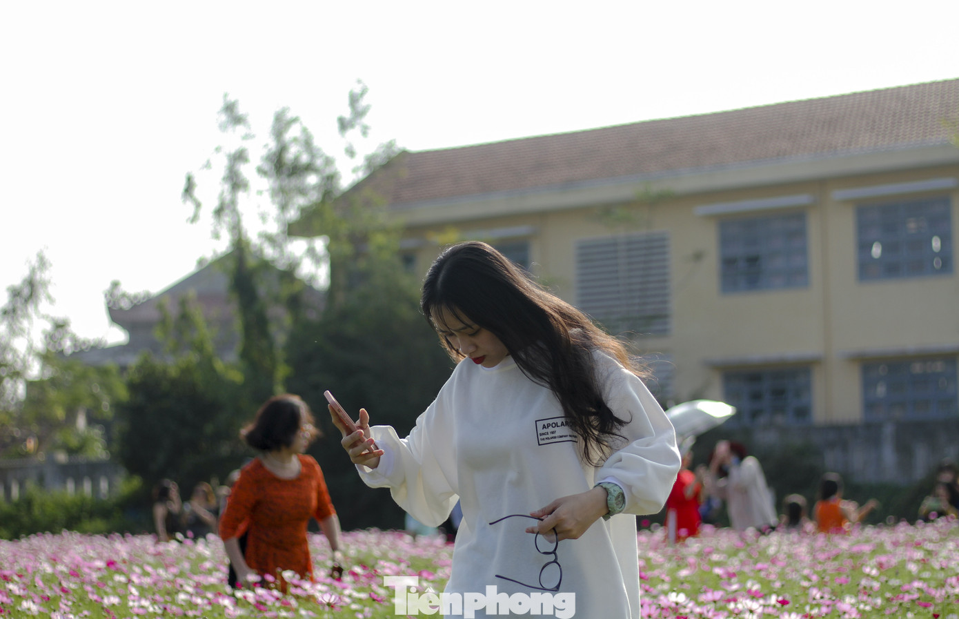 Bạn trẻ lạc giữa đồng hoa đang độ khoe sắc ngày xuân ảnh 9