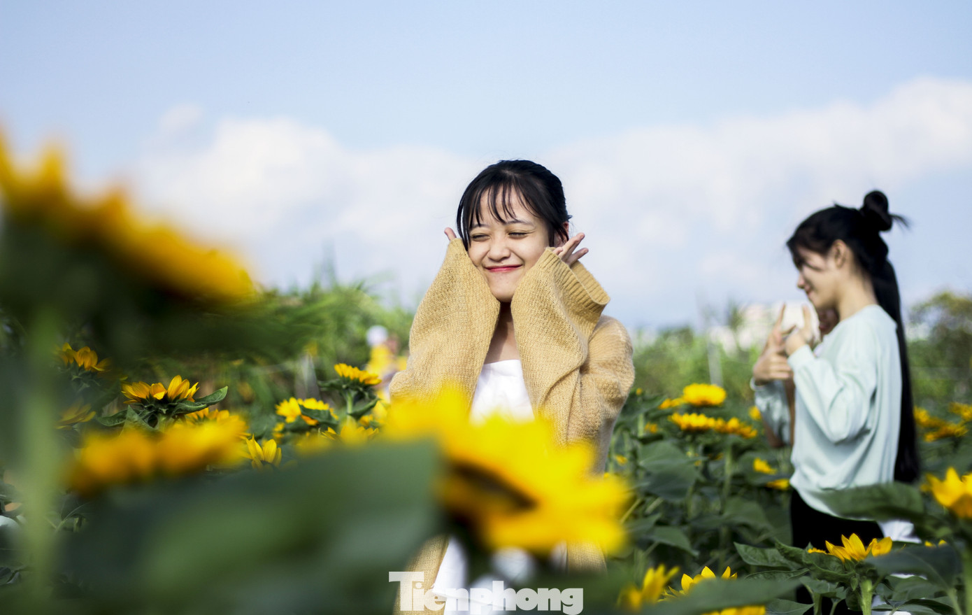 Bạn trẻ lạc giữa đồng hoa đang độ khoe sắc ngày xuân ảnh 11