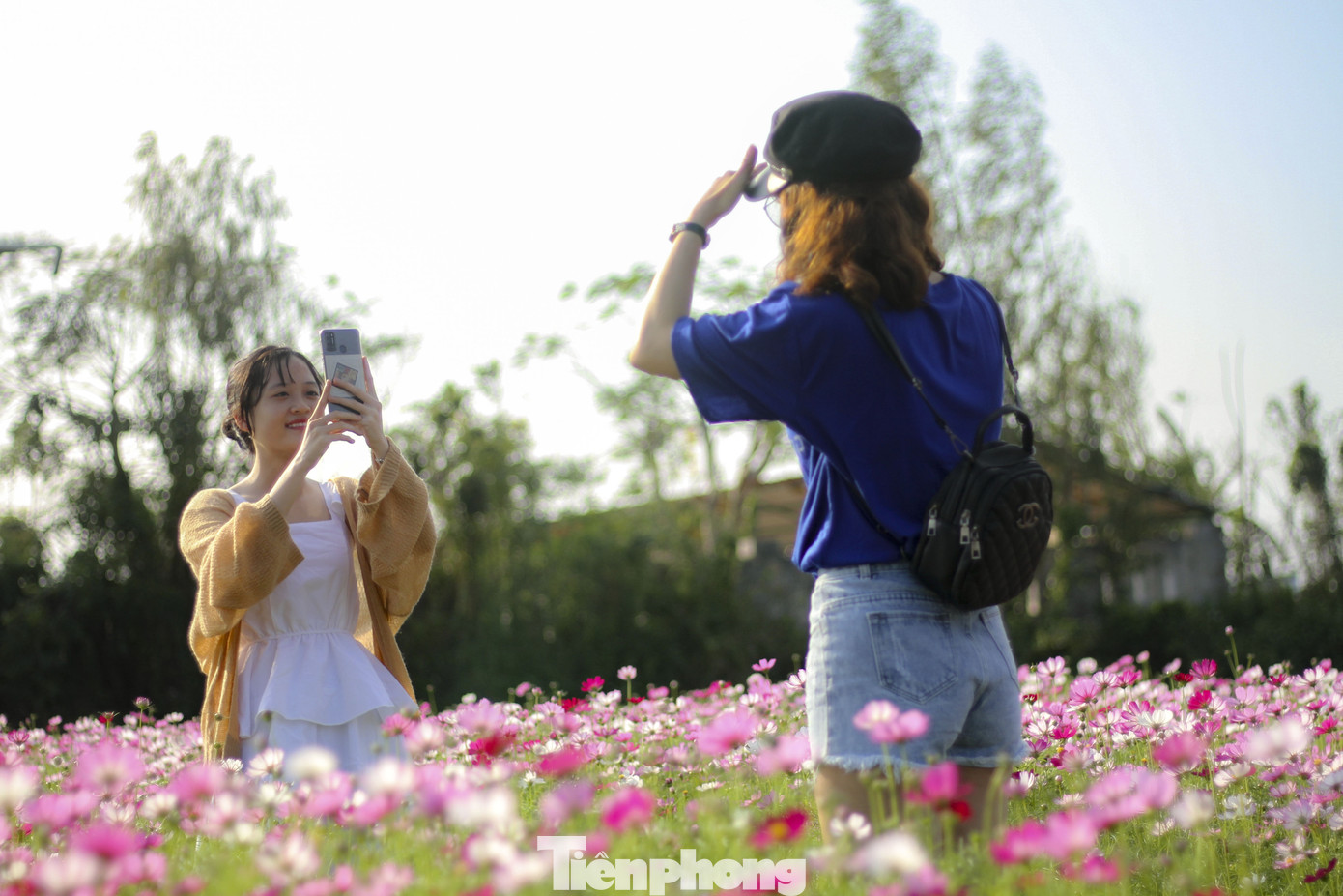 Bạn trẻ lạc giữa đồng hoa đang độ khoe sắc ngày xuân ảnh 5