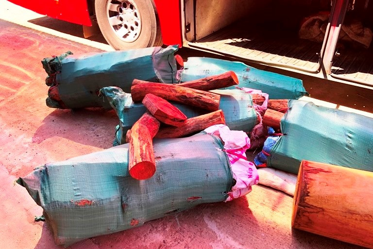 Phát hiện xe khách chở gỗ lậu ngụy trang tinh vi ảnh 1