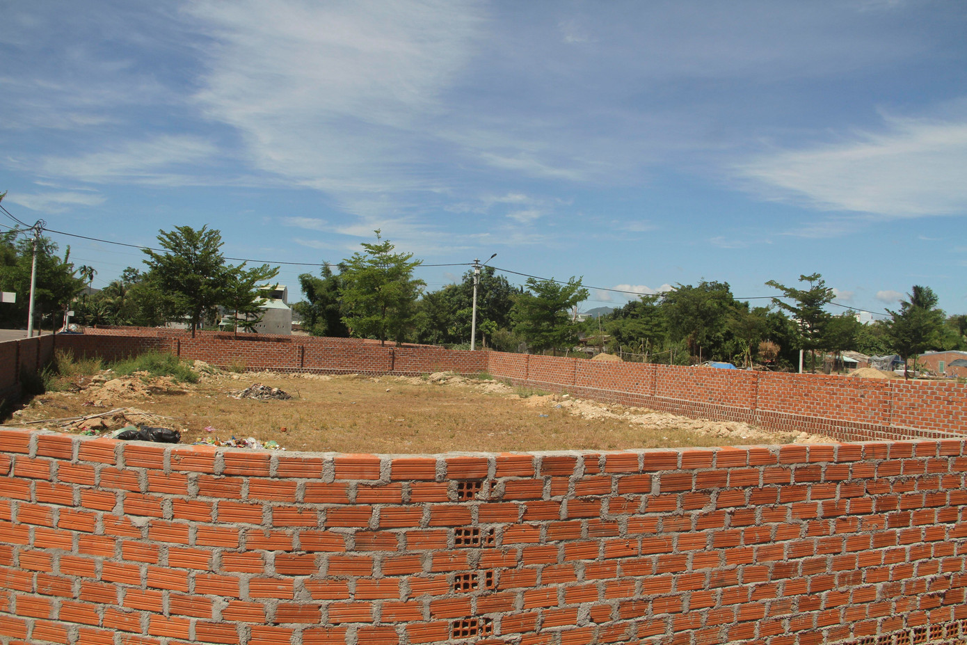 Bắt vợ cũ của tổng giám đốc giả chữ ký lừa đảo bán đất ảnh 1