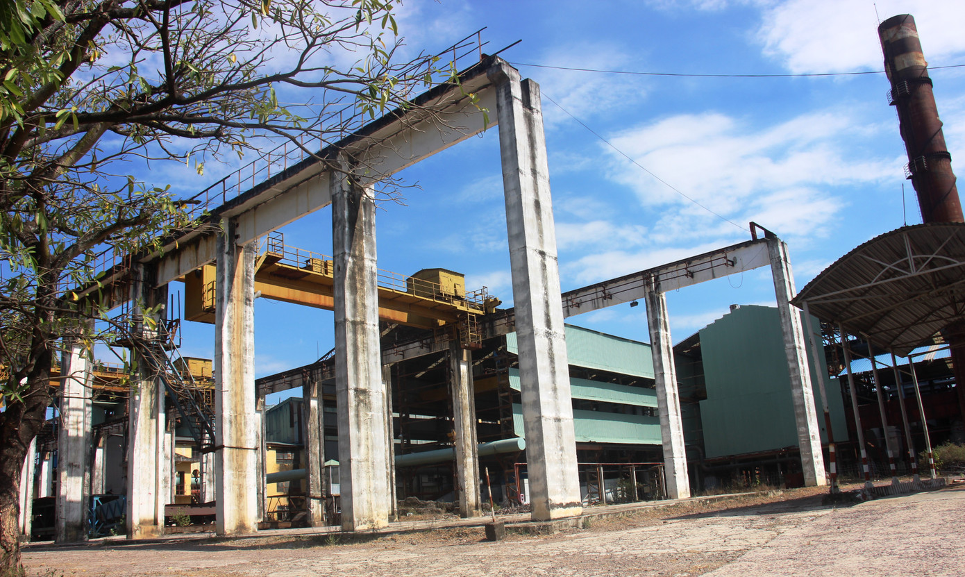 Cty Đường Bình Định nợ hơn ngàn tỷ được đấu giá thế nào? ảnh 1