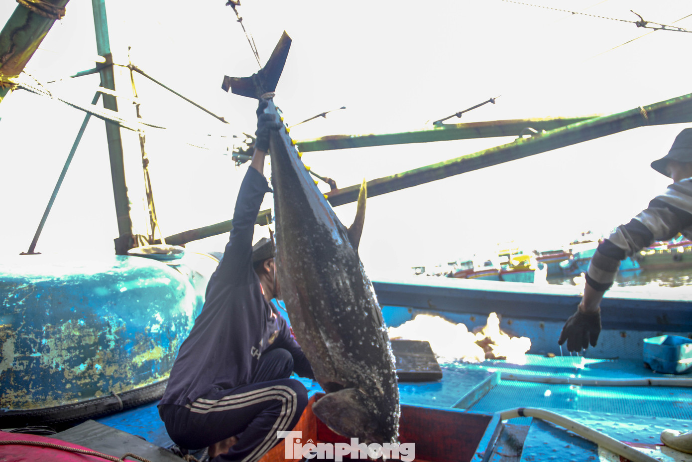 Ăn Tết trên biển, ngư dân Bình Định 'ấm' cả mùa ảnh 12