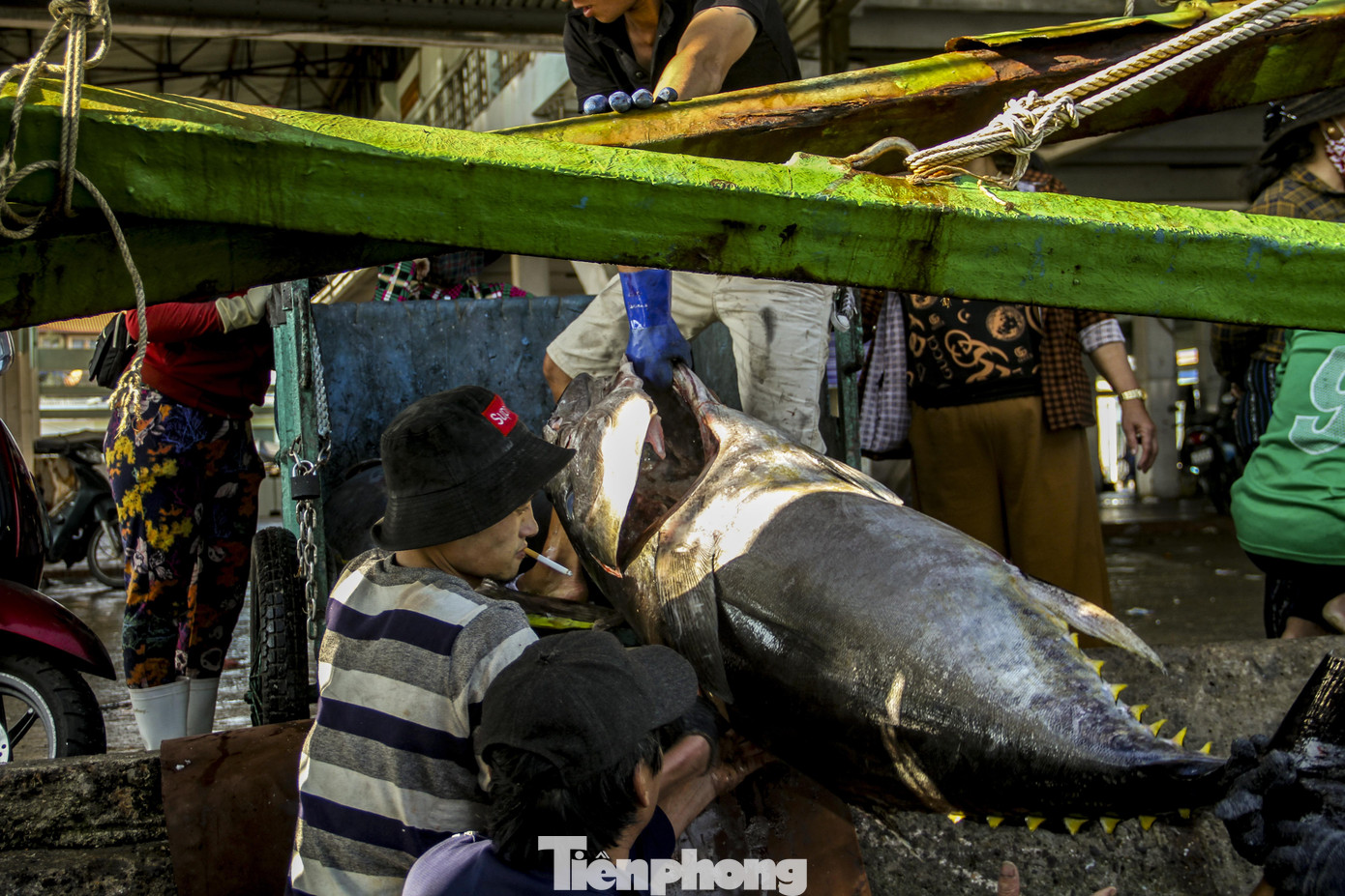 Ăn Tết trên biển, ngư dân Bình Định 'ấm' cả mùa ảnh 9