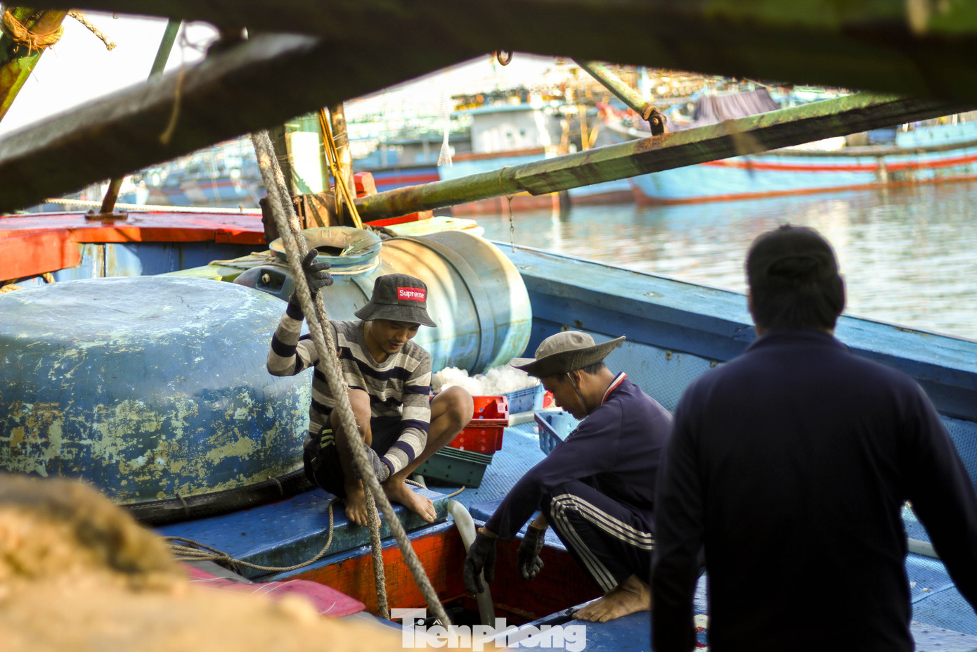Ăn Tết trên biển, ngư dân Bình Định 'ấm' cả mùa ảnh 1